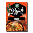 Robertsons Rajah Hot Curry Powder 100g