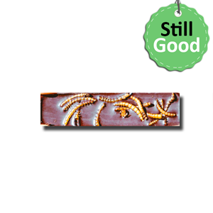 Portugal Bugs Mealworms Chocolate Bar 30g [BB: 30/11/2022]