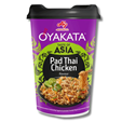 Ajinomoto Instant Cup Noodles Pad Thai Chicken 93g